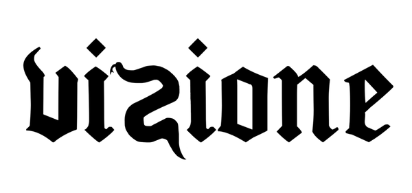 vizioneclothing.com